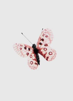 Fjärilsklämma, rosaEn fin liten fjäril med klämma bak så du kan sätta den var helst du vill.
Storlek: 5 cm