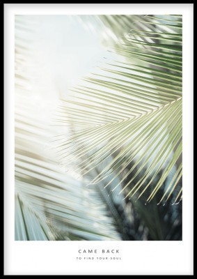 Fotoposter, BelieveUr serien Find your soul kommer denna gröna fotoposter över palmblad. Tryckt på miljövänligt 230g matt papperFinns i flera storlekarPostern levereras utan ram