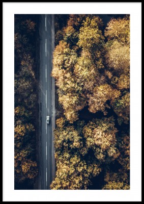 Poster, Car on the roadFotoposter med höstskog bredvid en väg. Tryckt på miljövänligt 230g, matt papperFinns i fler storlekar Postern levereras utan ram