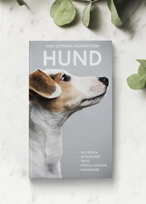 Bok, Den ultimata handboken HUNDFixa hundtricket med din bästa vän.I Sverige finns det nästan en miljon hundar och minst lika många lyckliga hundägare. Den här boken är för er, och för dig som är på väg att skaffa hund.Kan din hund sitta fint, komma sprin