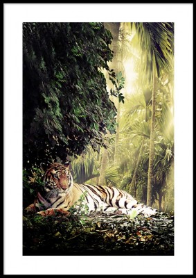 Poster, Jungle tigerEn kraftfull poster med skarpa toner och kontraster med en tiger i den grönaste djungeln. Tryckt på miljövänligt 230g, matt papperFinns i fler storlekar Postern levereras utan ram