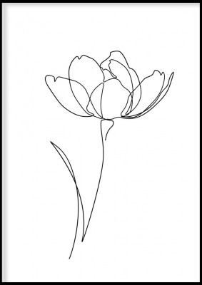Poster, Flower colour whiteVacker blomma i fina mjuka linjer.Tryckt på miljövänligt 230g, matt papperFinns i flera storlekar Postern levereras utan ram