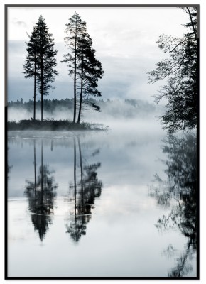 Poster Foggy TreesFotoprint över dimmiga träd i det skandinaviska klimatet.Tryckt på miljövänligt 230g, matt papperFinns i flera storlekarPostern levereras utan ram