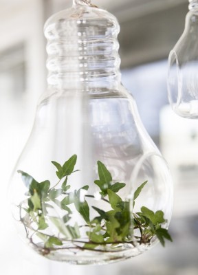 Fina glödlampor i glas som du kan pryda med en grön kvist eller ett stearinljus.Storlek: 17,7x24 cm 
