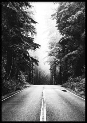 Poster HighwayEn svartvit fotoposter över en väg som går längs skogen. Tryckt på miljövänligt 230g, matt papperFinns i flera storlekar Postern levereras utan ram