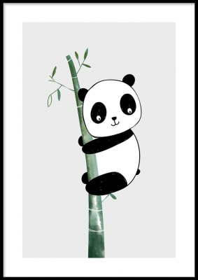 Barnposter, Klättrande pandaIllustrerad poster med en klättrande panda. Tryckt på miljövänligt 230g, matt papperFinns i fler storlekar Postern levereras utan ram