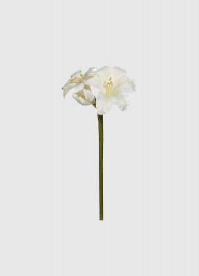Konstgjord Amaryllis 35 cmVacker konstgjord Amaryllis med grönt skavt och vit blommma. Höjd: 35 cm