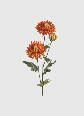 Orange glödEn vacker konstgjord och verklighetstrogen Chrysanthemum med orangea blommor och gröna blad. Med denna blomma skapar du enkelt en hållbar och färgstark bukett!Höjd: 60 cm