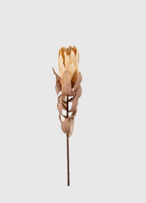 Pryd ditt hem med växterKonstgjord Protea som ger ditt hem det lilla extra