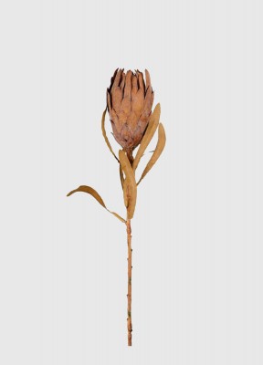 Pryd ditt hem med växterKonstgjord Protea som ger ditt hemdet lilla extra