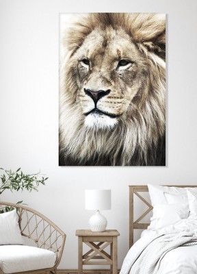 Canvastavla, LionkingEn snygg canvastavla med ett ståtligt lejon på. Motivet är uppspänt på en träram, redo för dig att hänga upp!Tryckt på miljövänligt canvastygUppspänd på träramDjup: 2 cm