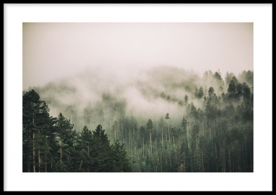 Poster, Misty treesEn rogivande fotoposter över dimmiga träd. Tryckt på miljövänligt 230g, matt papperFinns i fler storlekar Postern levereras utan ram