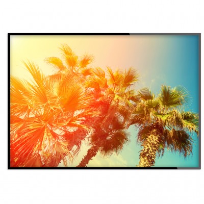 Poster Palm SunshineSolen strålar genom palmbladen och skapar underbara färger!Tryckt på miljövänligt 230g, matt papperFinns i flera storlekarPostern levereras utan ram  