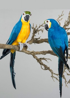 Papegoja konstgjord, blå och gulNaturtrogen papegoja i vacker gul och blå färg. En perfekt detalj att liva upp inredningen. Vid fötterna sitter ståltråd som gör att du kan fästa papegojan enkelt där du vill sätta den.
Färg: Blå och gulLängd från huvud ti