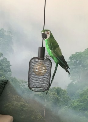 Papegoja konstgjord, grönNaturtrogen papegoja i vacker grön färg. En perfekt detalj att liva upp inredningen. Vid fötterna sitter ståltråd som gör att du kan fästa papegojan enkelt där du vill sätta den.
Färg: GrönLängd från huvud till stjärtfjäder: ca 4