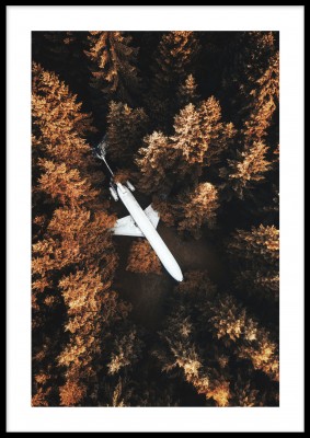 Poster, Plane in woodsFotoaffisch över en höstskog med ett plan i mitten. Tryckt på miljövänligt 230g, matt papperFinns i fler storlekar Postern levereras utan ram