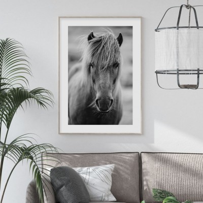 Icelandic horseSvartvit poster över en häst i fokus.Tryckt på miljövänligt 230g, matt papperFinns i flera storlekar Postern levereras utan ram