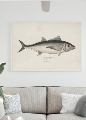 Poster, Tuna fishEn illustrerad vintageinspirerad poster med en tonfisk.
Tryckt på miljövänligt 230g, matt papperFinns i flera storlekarPostern levereras utan ram