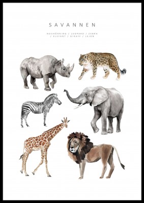 Poster SavannenEn poster med djur som finns på savannen, målade i akvarell. Tryckt på miljövänligt 230g, matt papperFinns i flera storlekar Postern levereras utan ram