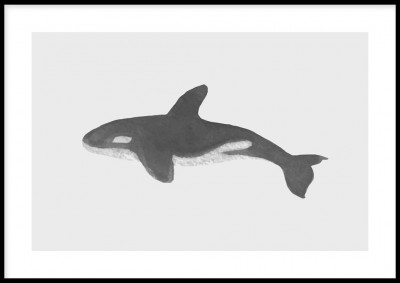 Poster, SharkEn svartvit poster med en illustrerad haj.Tryckt på miljövänligt 230g, matt papperFinns i flera storlekar Postern levereras utan ram