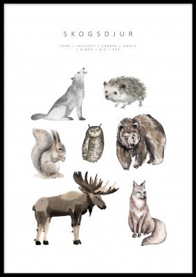 Poster Skogsdjur  En poster med skogsdjur i akvarell. Tryckt på miljövänligt 230g, matt papperFinns i flera storlekar Postern levereras utan ram