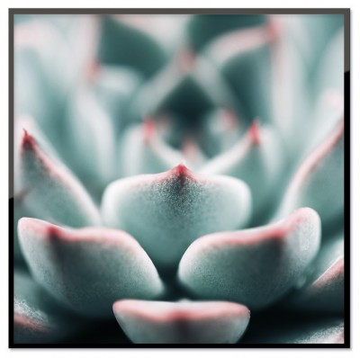 Poster The topFotoprint över en blomma med rosa detaljer. Tryckt på miljövänligt 230g, matt papperStorlek: 50x50 cmPostern levereras utan ram