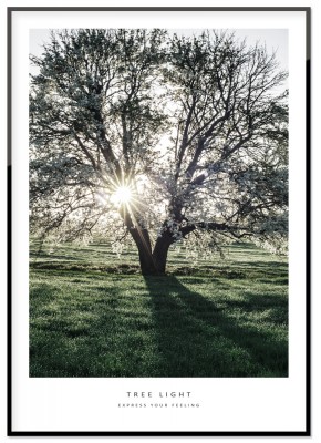 Poster, Tree lightFrån serien Express your feeling kommer det här fotorprintet över ett stort träd med solen skimrandes igenom. Tryckt på miljövänligt 230g matt papperFinns i flera storlekarPostern levereras utan ram