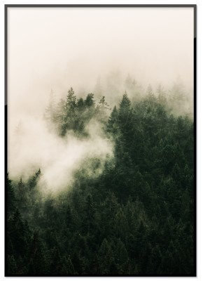 Poster, Tree topsFotoposter över trädtoppar täckta med dimmar. Tryckt på miljövänligt 230g matt papperFinns i flera storlekarPostern levereras utan ram