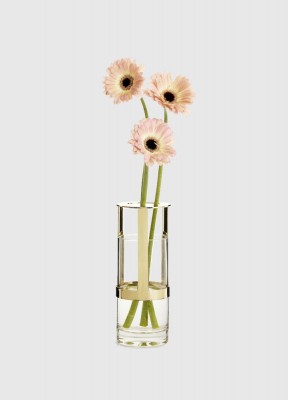 Hold vas liten, GuldHold är en unik, prisbelönad glasvas designad av Pascal Charmolu. Vasen består av munblåst glas och ett metallhölje som går att justera i höjdled. Genom att enkelt flytta upp eller ner metallhållaren anpassar man höjden till allt från 