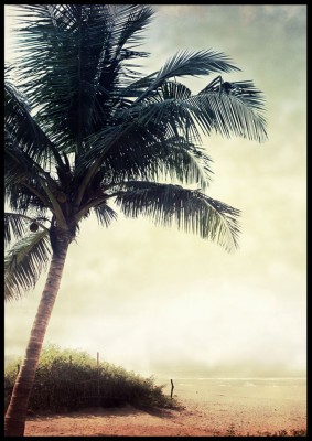 Poster, Vintage palmEn vintageinspirerad poster med en palm svajande i vinden. Tryckt på miljövänligt 230g, matt papperFinns i fler storlekar Postern levereras utan ram
