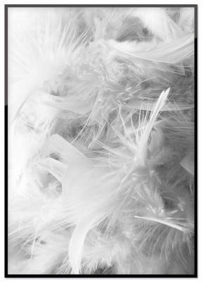 Poster Vita fjädrarEtt svartvitt print med fluffiga vita fjädrar. Tryckt på miljövänligt 230g, matt papperFinns i flera storlekar Postern levereras utan ram