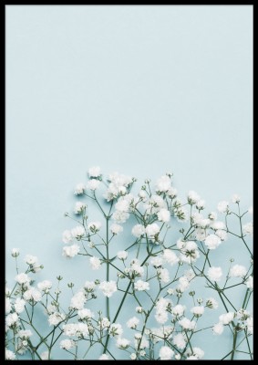 Affischen White flowersVita blommor på turkosblå botten. Tryckt på miljövänligt 230g, matt papperFinns i flera storlekar Postern levereras utan ram