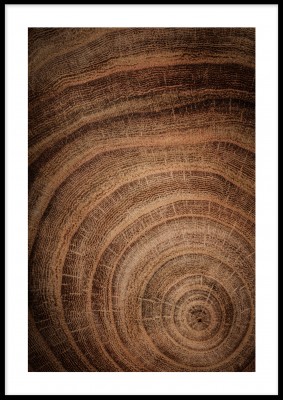 Poster, Wooden linesEtt härligt print över en trädstam och dess linjer. Tryckt på miljövänligt 230g, matt papperFinns i fler storlekar Postern levereras utan ram