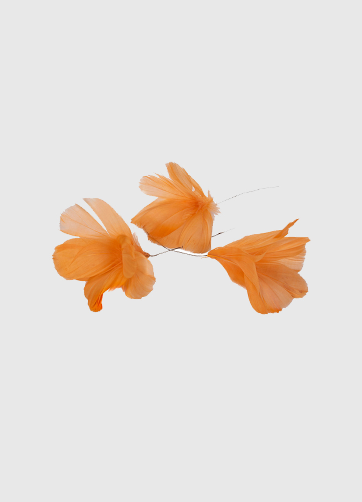 Dekorationsfjädrar i härlig orange nyansSuperfina fjädrar att dekorera med. Fungerar lika bra att göra fint med under alla årets månader. Vacker fjäderblomma som är fin att matcha med flera nyanser eller i endast en färg.En förpackning innehåller 12 st 
