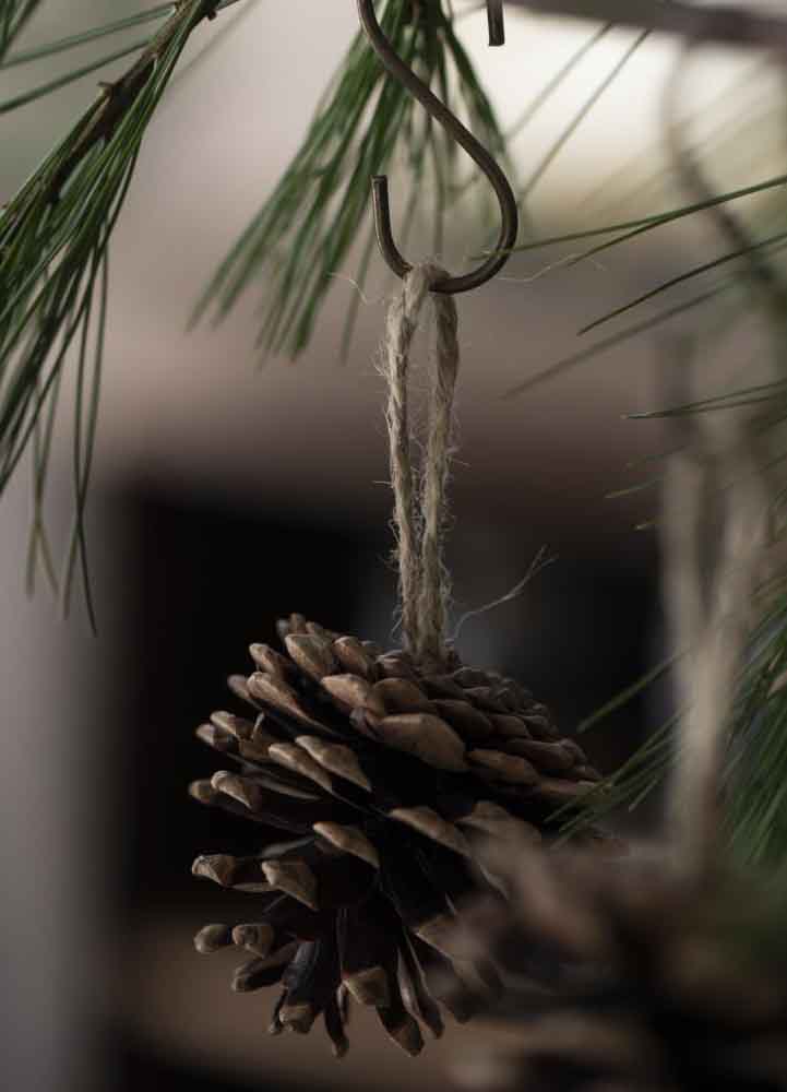 Julgranspynt i form av en naturlig brun liten kotte som hängs upp med ett naturfärgat snöre med storlken 5x5,5 centimeter. 
