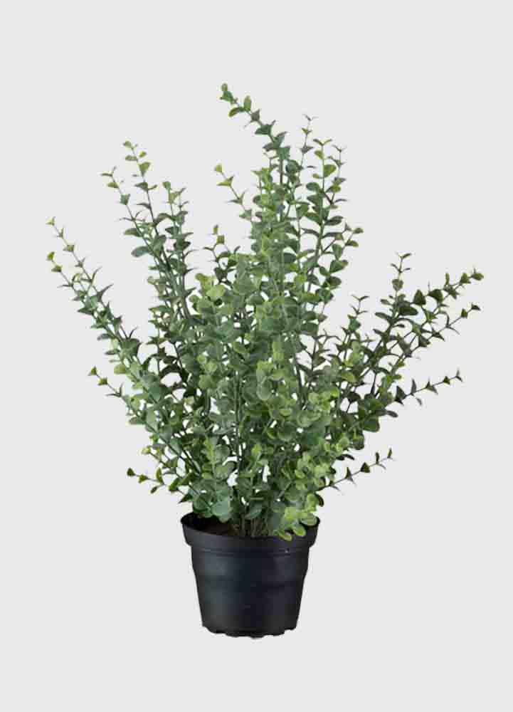 konstgjord växt, en fluffig grön eukalyptusväxt på 40 cm hög med många grenar i olika höjder i en svart kruka i plast.
