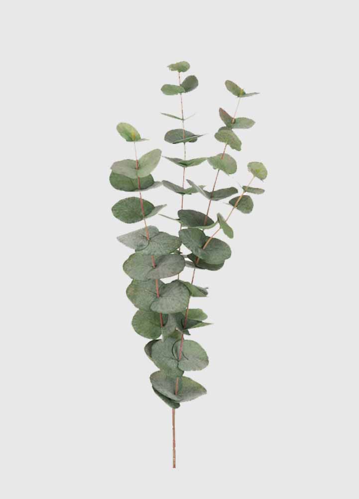 konstgjord växt, en eukalyptus som är 60 cm hög som sträcker ut sig i fyra olika grenar med gröna runda löv på.
