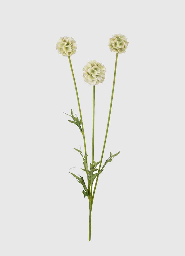 konstgjord växt, en 60 centimeter ljushög grön scabiosakvist med tre fluffiga vita blommor och längst ner på kvisten små tunna avlånga blad.
