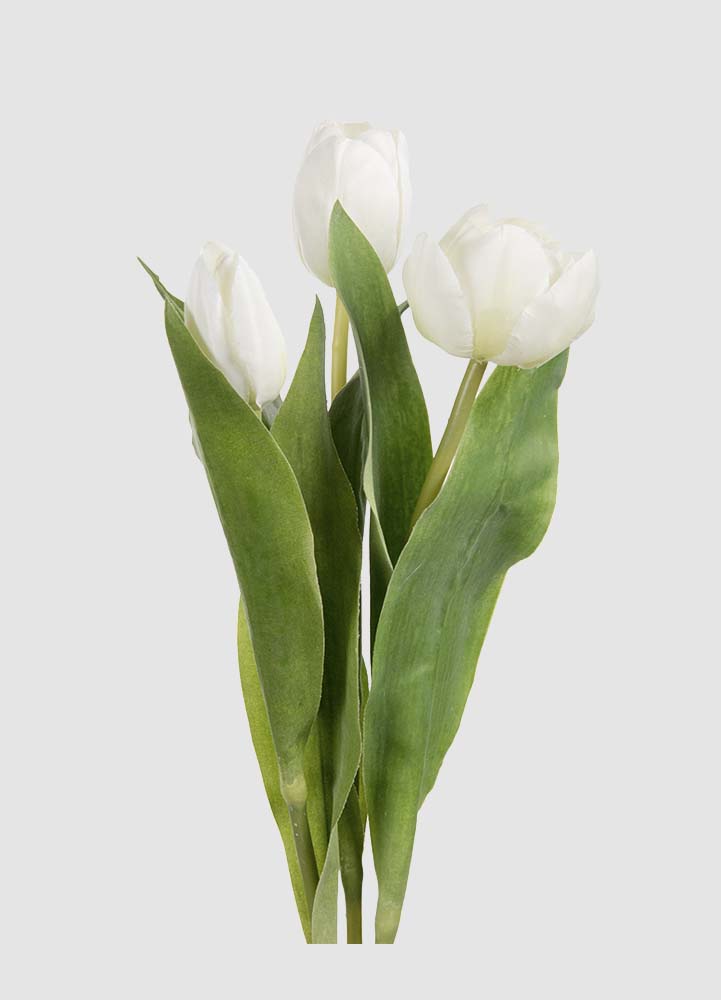 konstväxt vita tulpaner mr plant